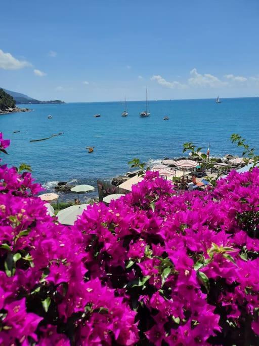 דירות Pitelli La Terrazza Sul Golfo Dei Poeti Con Vista Mare מראה חיצוני תמונה